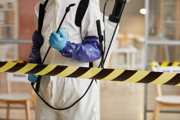 Professional Odor Removal technician working in Brighton, IL