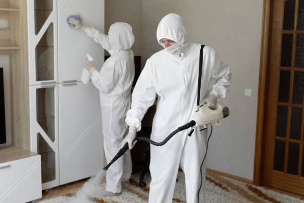 24/7 Emergency Odor Removal experts in Brighton, IL