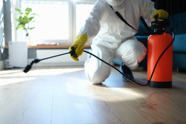 Reliable Odor Removal contractor in Brighton, IL by Dulley Family Biohazard Services